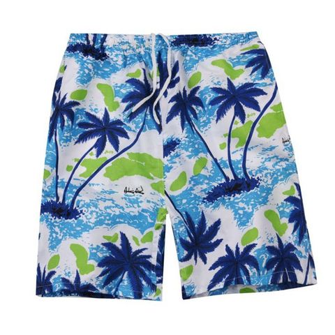 New Summer Casual Shorts Men Printed Beach Shorts Quick Dry Board Shorts Pants ► Photo 1/6