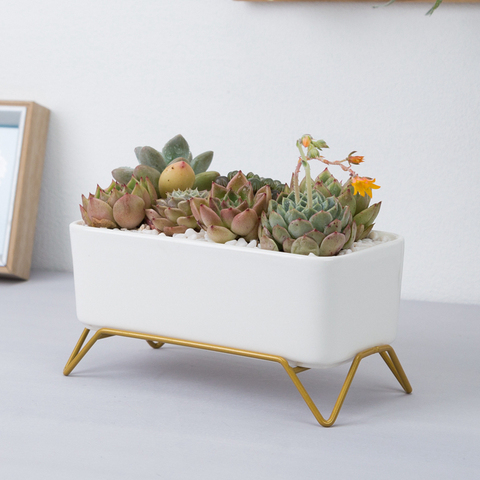 White Ceramic Flowerpot with Gold Metal Stand Succulent Plant Pot Cactus Planter with Drain Hole Oval Rectangle Flower Pot ► Photo 1/6