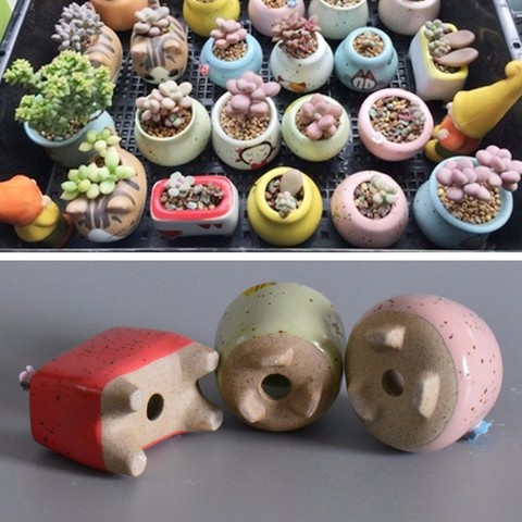 1pc Mini More Meat Ceramic  Flower Pot Succulents Fleshy Plants Flowerpot Small Home/Garden/Office Decoration Pots for Flowers ► Photo 1/6