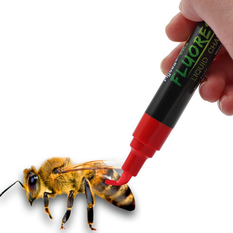 1 Pcs Queen King Bee Marker Pen 8 Colors Optional Queen Bee Marking Pen Bevel Beekeeping Tools ► Photo 1/6