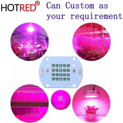 30W50W60W Plant Grow LED light  Cree XPE Led Emitter Light 660nm red 450NM Royal Blue for  indoor garden Fruit Growing Seeding ► Photo 1/6