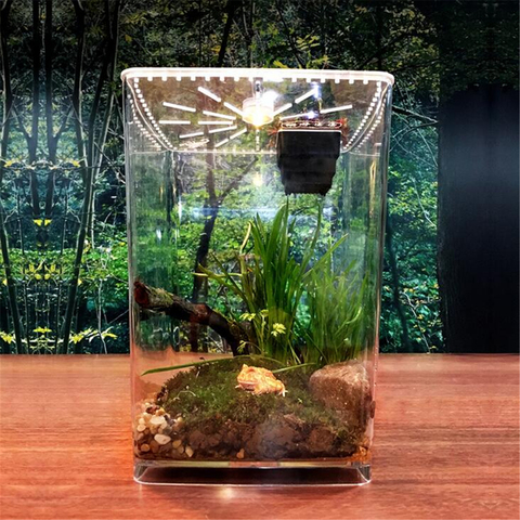 Transparent Acrylic Reptiles Pet Terrarium Feeding Tank Insect Snake Spiders Chameleon Breeding Boxes Cage Case House ► Photo 1/1