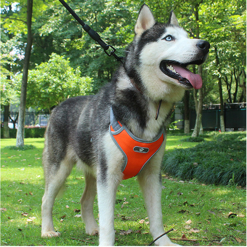 Dog Protective Vest Adjustable Reflective Breathable Harnesses For Medium Large Dog Breast-band Husky Alaskan Pet Accessories ► Photo 1/6