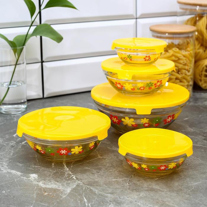 Set of salad bowls with lids 