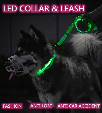 Dog Bungee Leashes Nylon Luminous Fluorescent LED Light USB Rechargeable Night Safety Flashing Glow In The Dark Pet Collar Leash ► Photo 1/6