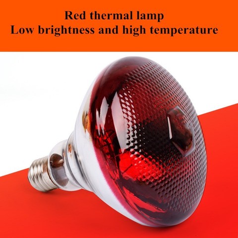 Farm Light Thermal Preservation Pig Chicken E27 Thicken High Quality Heat Light Bulb Brooder Heat Lamp 220V 100/150/200/250W ► Photo 1/6