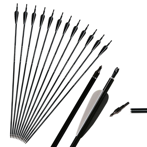 6/12pcs Aluminium Arrows 31'' Aviation Aluminum Alloy Archery Hunting Shooting Targeting Practice Arrow for Compound Recurve Bow ► Photo 1/6