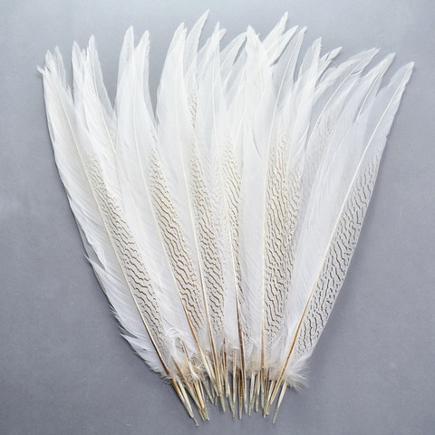 Natural Pheasant Tail Feathers for Crafts 10-80CM White Silver Pheasant Feather Carnaval Assesoires Wedding Feathers Decoration ► Photo 1/6