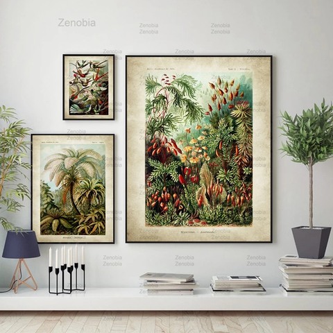 Vintage Biology Canvas Painting Hummingbird Palm Tree Botanical Posters and Prints Plants Office Home Wall Art Home Decoration ► Photo 1/6