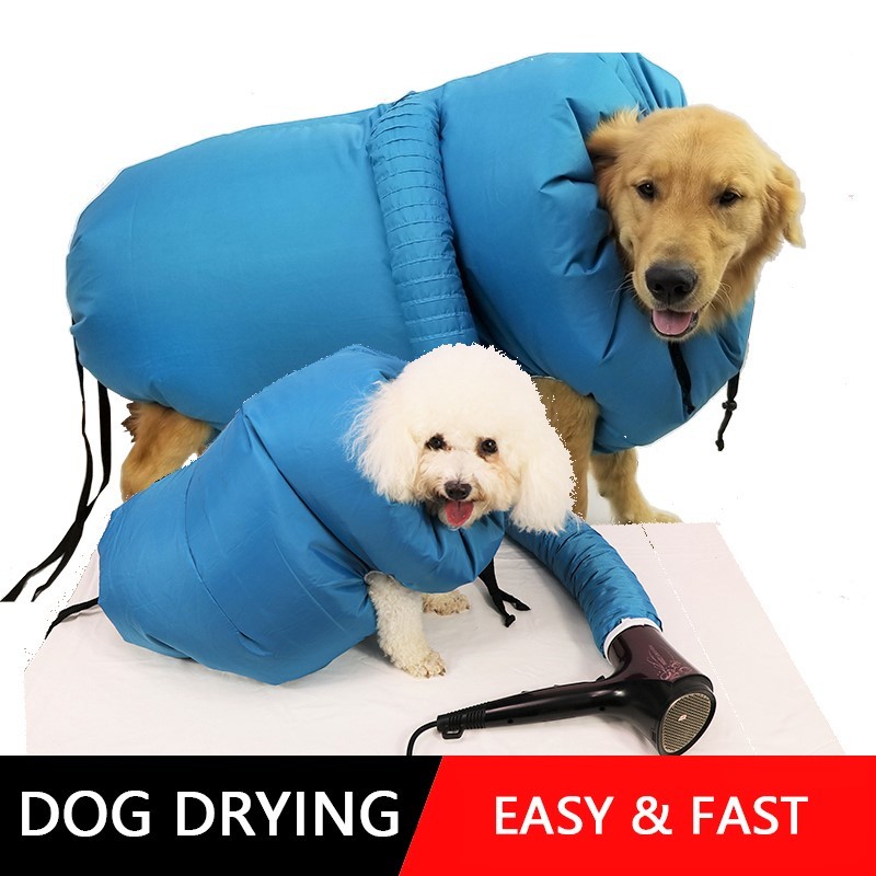 Agrarisch Minst Inzet Price history & Review on Dog Dryer Puff and Fluff Cheap Grooming Dryer Pet  Hair Dryer Blower Summer French Bulldog Chihuahua Cat Ropa Perro Pug Hond  Dog | AliExpress Seller - FANHHUI