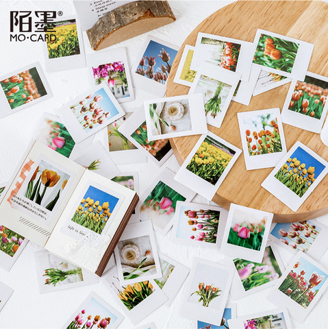 46pcs Paper Floral Stiker Set Tulip Flowers Adhesive Stationery Sticker Decor Label For Scrapbooking Diary Journaling ► Photo 1/5