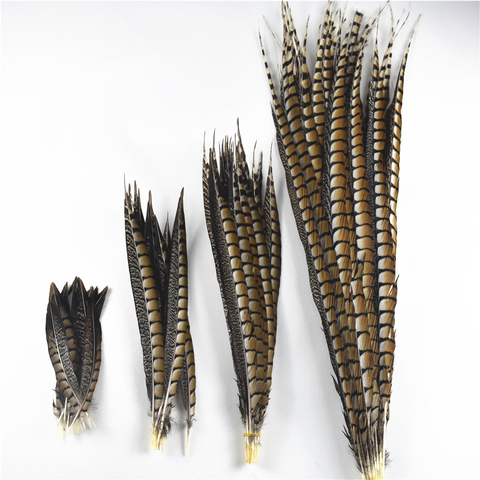 10Pcs/Lot Natural Lady Amherst Pheasant Feathers for Crafts 10-120CM 4-48