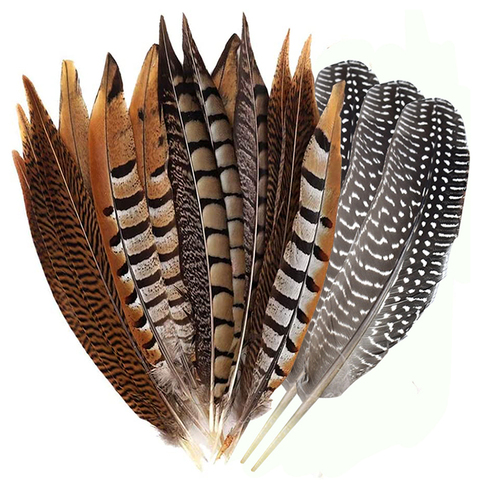 10Pcs/Lot Natural Plume Lady Amherst Pheasant Feathers For Crafts Party Decoration Ringneck Pheasant Tail Feathers Wedding DIY ► Photo 1/6