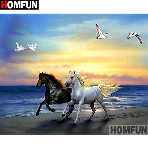 HOMFUN 5D DIY Diamond Painting 