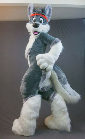 Birthday Party Gray Husky Dog Fursuit Mascot Costume Furry Costume Suits Cosplay Party Game Fancy Dress Christmas Adult Size ► Photo 1/1