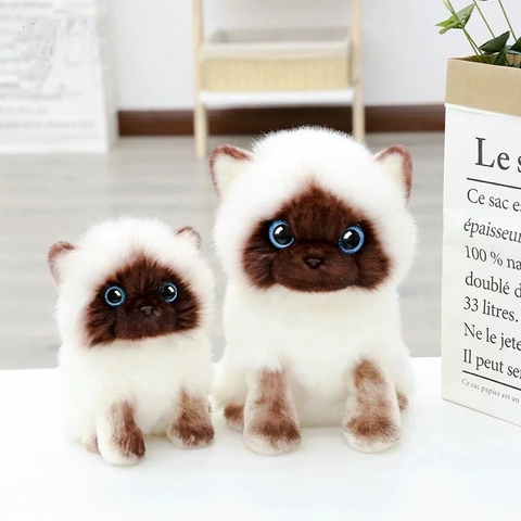 20/26CM Simulation Cute Siamese Cat Plush Toy Blue Sequins Eyes Cats Doll Brown And White Face Ragdoll Cat Home Decor Best Gift ► Photo 1/6