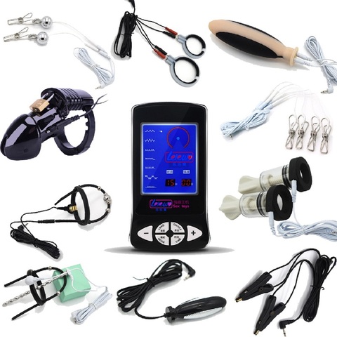 Professional Electric Shock Therapy Massage Dual Output Host, Physiotherapy  Host Accessories, Electric Shock Toys, Multiple Choices Electric Shock