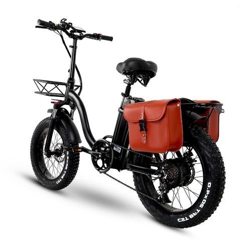 Y20 Folding Electric Snow Bike, 750W Motor, 48V 15Ah Battery, 20 Inch Mountain Bike Fat Bike, Pedal Assist E-bike with Basket ► Photo 1/6