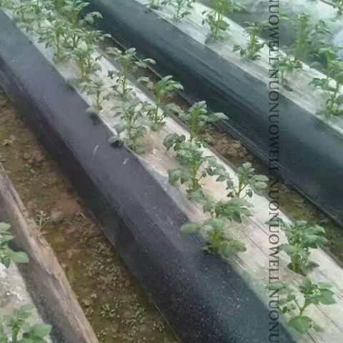 25m White-Black Garden Film Agriculture Plastic Film Weed Control PE Film Fruit Tree Mulch Film Plants Covers Grow Film ► Photo 1/6