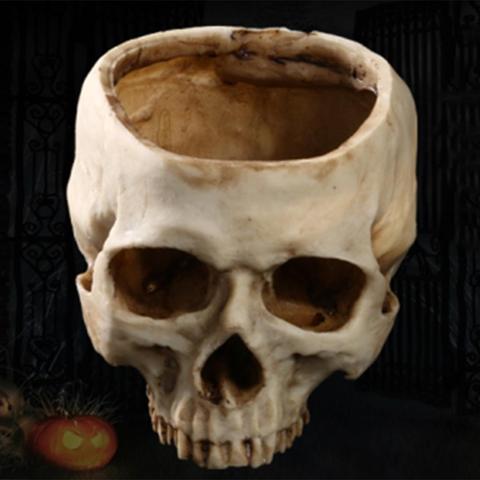 Resin Crafts Human Tooth Skull Fossil Teaching Skeleton Model Halloween Home Office Flower Pot Planter Skull Pot Decoration ► Photo 1/6