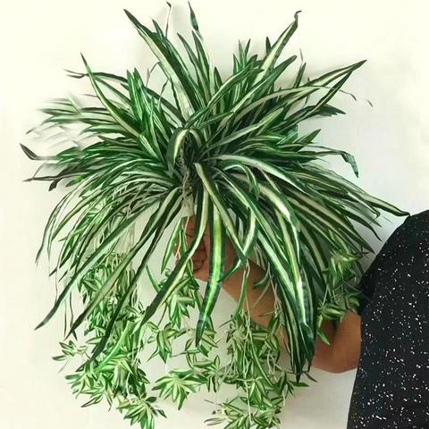 Fashion Artificial Plant 1Pc Artificial Plant Chlorophytum Flower Arrangement Decoration Wedding Decor Plante Artificielle ► Photo 1/6