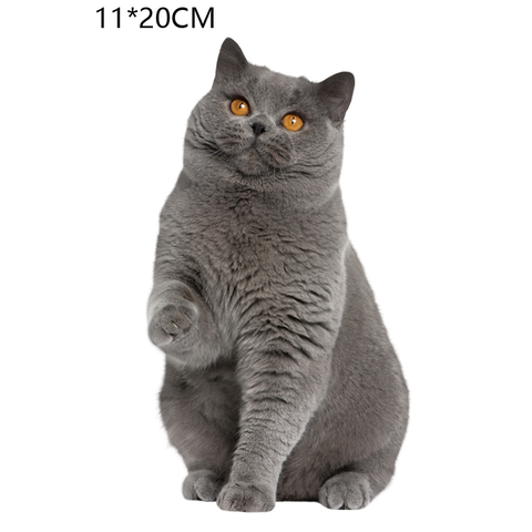 Three Ratels grey british shorthair  cat  wall stickers home decoration living room children bedroom  DIY car sticker ► Photo 1/6