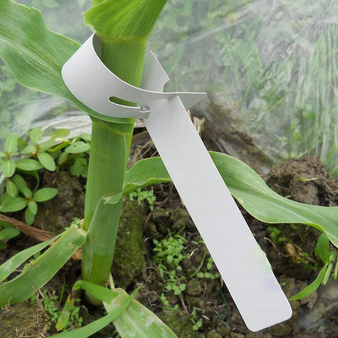 400 Pcs Plastic Plant Labels Wrap Around Tree Tags, Adjustable Nursery Garden Labels Plant Tags with Large Writing Surface, Whit ► Photo 1/6