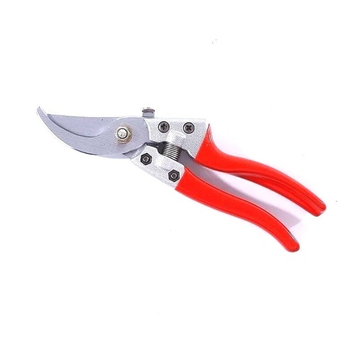 SK-5 garden fruit tree pruning scissors orange beak bag plastic fruit picking scissors ► Photo 1/3