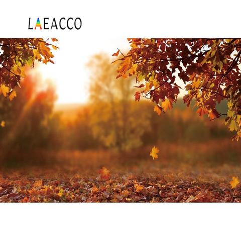 Laeacco Autumn Backgrounds For Photography Fallen Leaves Maples Light Bokeh Sunshine Baby Newborn Portrait Scene Photo Backdrop ► Photo 1/6