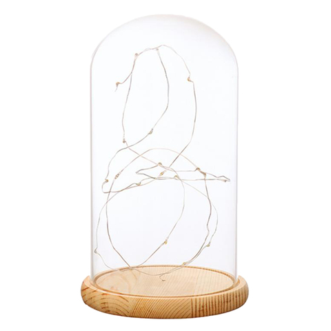 Battery Operated LED Lights Wood Base Clear Glass Cloche Dome Tabletop Decor ► Photo 1/6