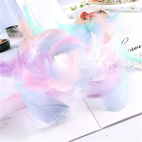 100pcs Natural Feathers 4-8cm 1-2 Inch Small Floating Goose Feather Colourful Feathers Plume for Decoration Plumes Craft ► Photo 1/6