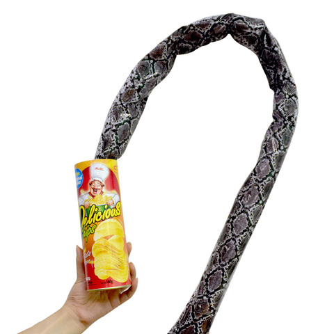 The Potato Chip Snake Can Jump Stage Magic Tricks Spring Snake Toy April Fool Day Halloween Party Jokes in A Can Gag Gift Prank ► Photo 1/5