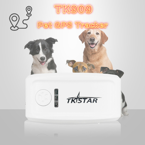 TK909 gps gprs gsm pet tracker dog cat gps collar real-time free tracking software gps tracker dog hunting pet dog GPS tracker ► Photo 1/1