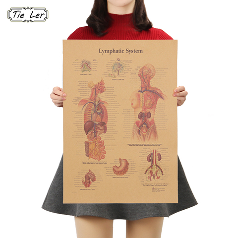 TIE LER Lymphatic System The Body Structure Poster Bar Home Decor Retro Vintage Kraft Paper Wall Sticker 42x30cm ► Photo 1/6