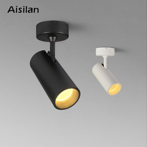 Aisilan Led Nordic Spot light Adjustable 90 degrees Ceiling Downlight for indoor Foyer,Living Room 12W CREE COB AC 90-260V ► Photo 1/6