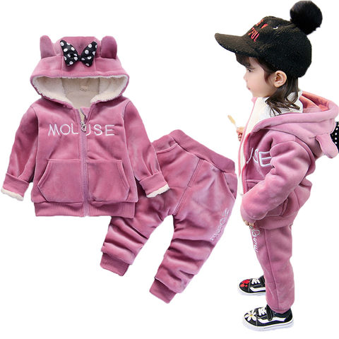 Warm Baby Girls Clothing Set Winter Thick Plush Cotton Clothing Sets For Baby Girls Hoodies And Pants Kids Suit Children Clothes ► Photo 1/6