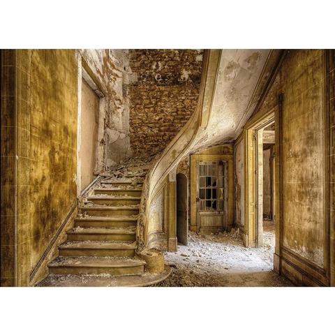 Dilapidated House Stairs Doors Brick Wall Photographic Backdrops For  Studio Photo Backgrounds Cloth Photophone Photobooth ► Photo 1/6