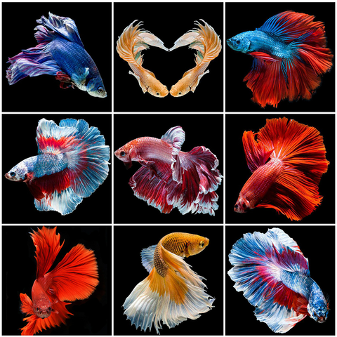 HUACAN Full Square Diamond Embroidery Fish Diamond Art Painting Animal Handmade Mosaic Home Decoration Gift ► Photo 1/6