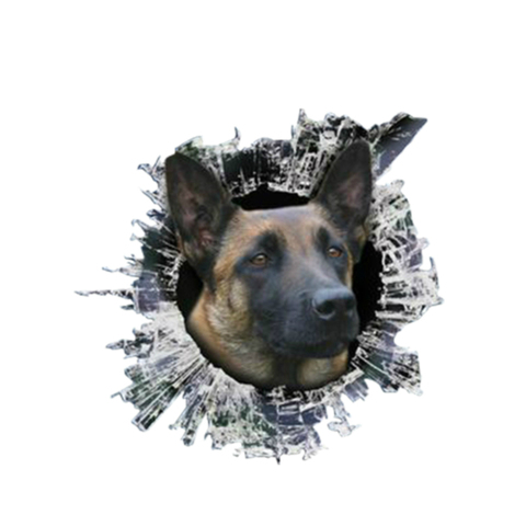 PLAY COOL 3D Belgian malinois Decal Glas Dogs Slag Reflective Car Stickers Window Waterproof Styling Decals,13cm*12.2cm ► Photo 1/3