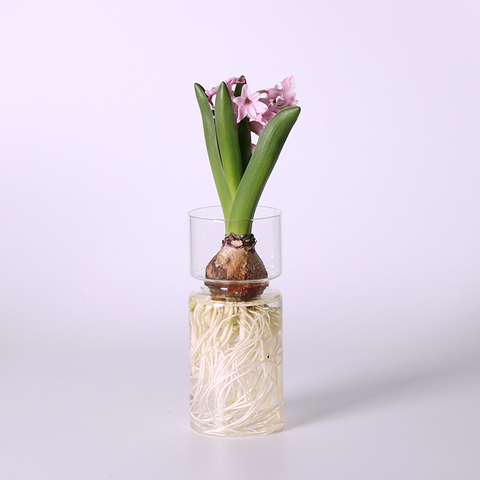Clear Glass Flower Vase Hydroponic Plant Holder Container Bud Vase for Small Flowers ► Photo 1/6