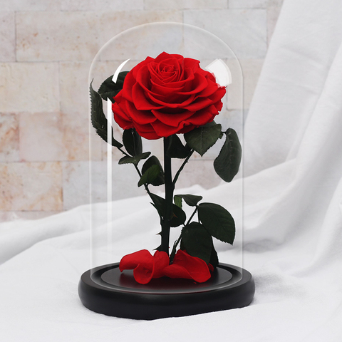 Beauty And The Beast Red Rose In A Glass Dome On Rose Living Room Bedroom Table Decorations Valentines Day Gifts Birthday Gifts ► Photo 1/6