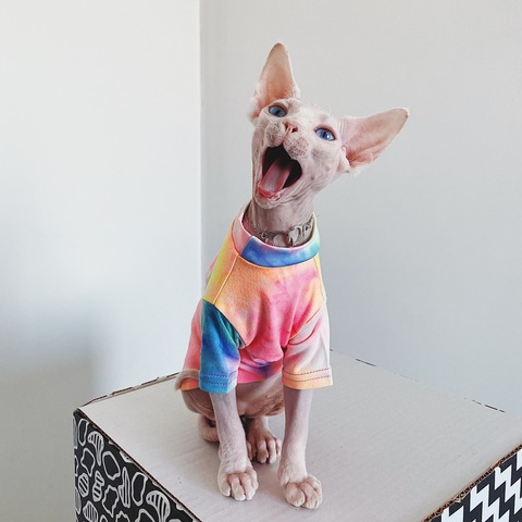 Hairless Cat Clothes Sphinx Deven Rainbow Breathable Sun-proof T-shirt Pet Clothes For Dogs Shirt ► Photo 1/5