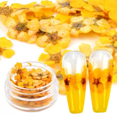 1PC Dried Flowers Nail Art Decoration Natural Dry Floral Leaf DIY Sticker Beauty Jewelry Tips Colorful Nail Gel Ornaments ► Photo 1/1