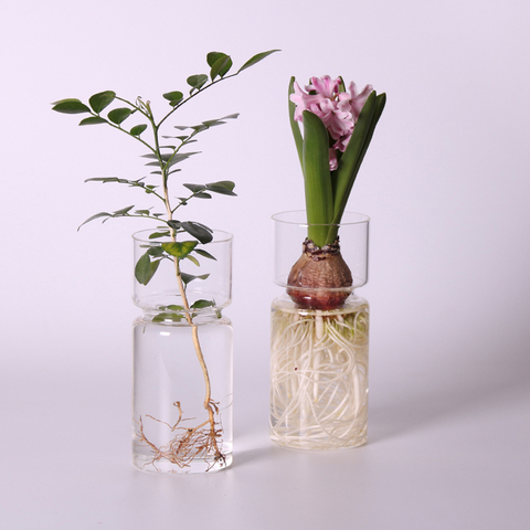 Clear Glass Hyacinth Vase Transparent Flower Plant Bottle Pot DIY Ornaments Home Living Room Garden Decoration Desk Decors 15cm ► Photo 1/6