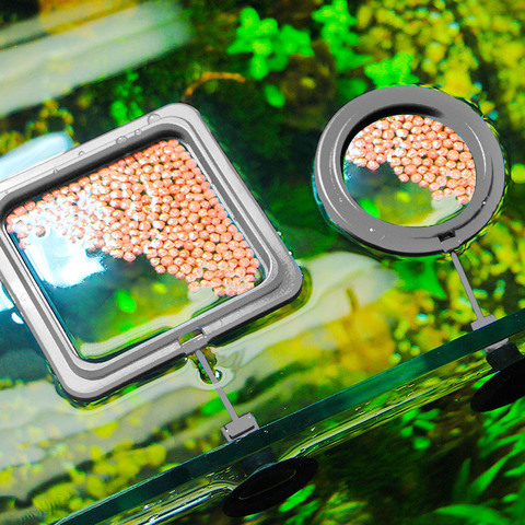 Aquarium Feeding Ring Fish Tank Station Floating Food Tray Feeder Square Circle Accessory Fish Food Feeder Suction Cup black ► Photo 1/6