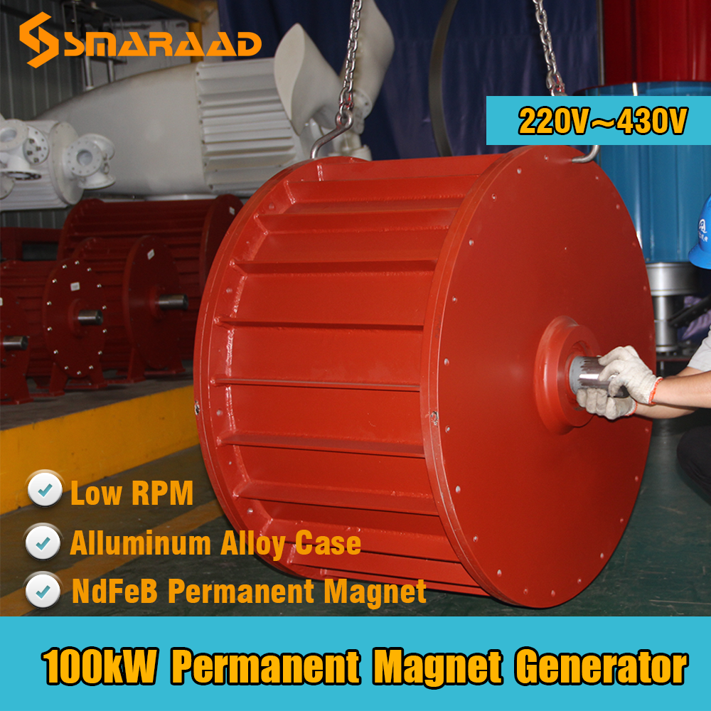 800W Power Brushless AC Dynamo Generator Portable Electric Permanent Magnet  Alternator Generator 220v Pure Copper Wire Core - AliExpress