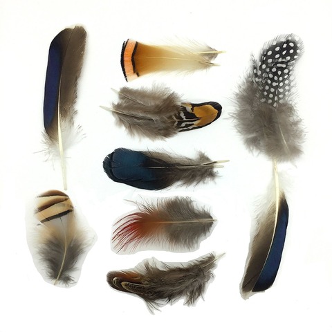 Natural chicken pheasant feathers Rooster peacock Plumes Ostrich feathers for crafts DIY Jewelry Accessories Wedding decoration ► Photo 1/6