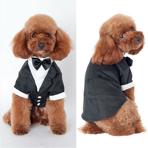 Dog Clothes Cat Prince Wedding Costume Cute Gentleman Cachorro Mascotas Chihuahua Tuxedo Bowtie Puppy Coat 5 Sizes Pets Supplies ► Photo 1/6