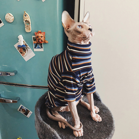 Striped Cat Sweater Striped Cat Clothes Sphynx Sweater 