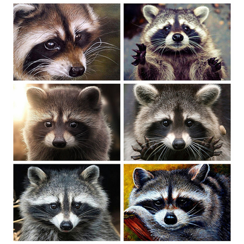 Evershine Diamond Painting Raccoon Cross Stitch Mosaic Diamond Embroidery Animals Rhinestone Pictures Home Decoration ► Photo 1/6